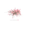 Epingles tête ronde rose clair - Bohin