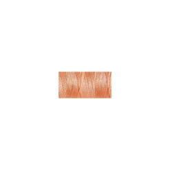 Fil Rayon Viscose 40 Gutermann 200 m - N°1017