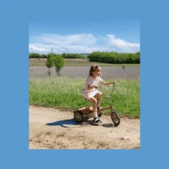 Livre Intemporels de Martine -Astrid Le Provost