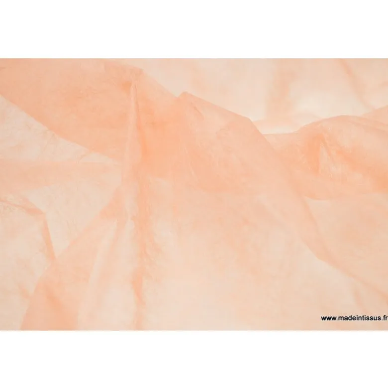 Non tissé déco pêche 160 .x 1m