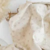 Tissu double gaze de coton Bio Poppy motif nœuds fond naturel
