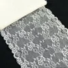 Tissu Galon dentelle crème élasthanne