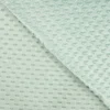Tissu minky motif coeur coloris Vert Céladon