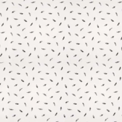 Tissu popeline de coton motif plumes fond blanc