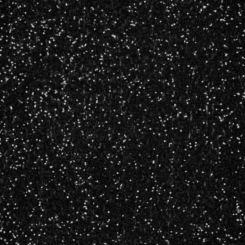 Tissu Sequin fin Noir sur base mesh