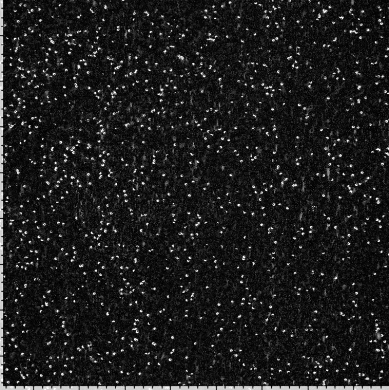 Tissu Sequin fin Noir sur base mesh