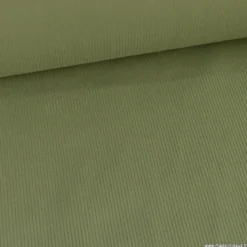 Tissu Velours cotelé 500 raies coloris vert fougère - OEKO TEX