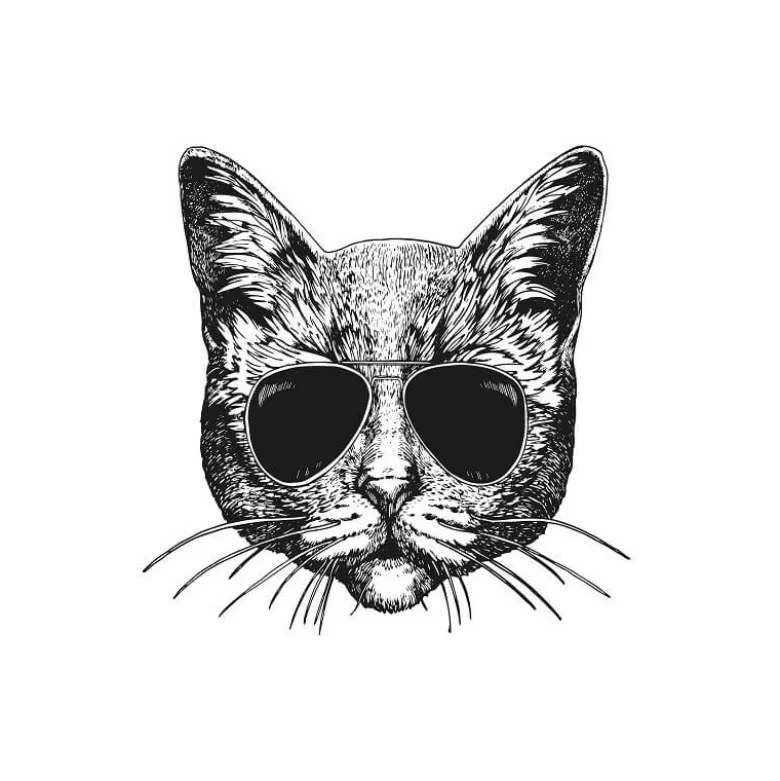 Transfert textile Thermocollant motif chat à lunettes